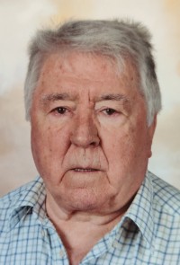 Vicente Vives Manuel