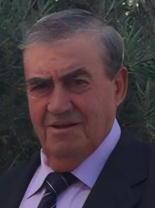 Francisco Vilar Palau