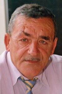 Vicente Pallarés Ramos