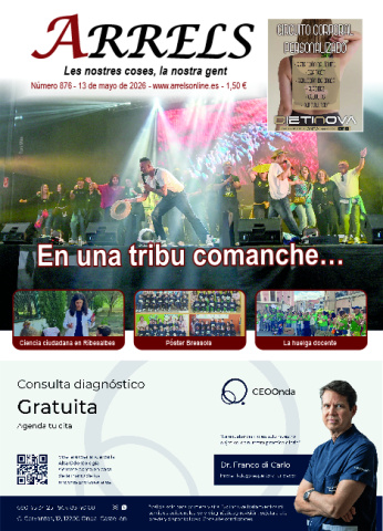 N&ordm; 876 de 13 de mayo de 2026