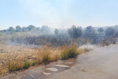 La zona afectada / LLU&Iacute;S DOM&Egrave;NECH
