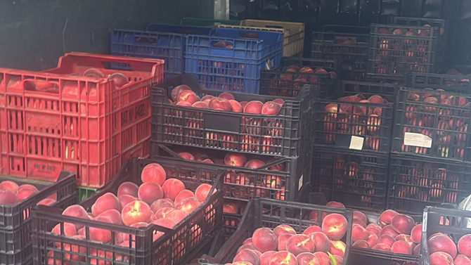 Interceptada una furgoneta con más de 40 cajas de melocotones sin documentación que acreditara su procedencia