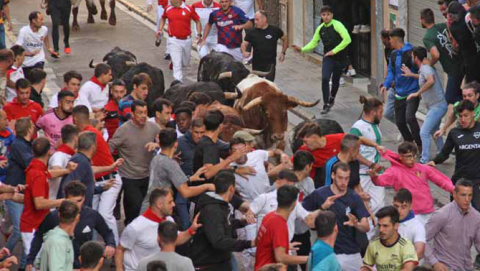 El último fichaje para los toros de Fira