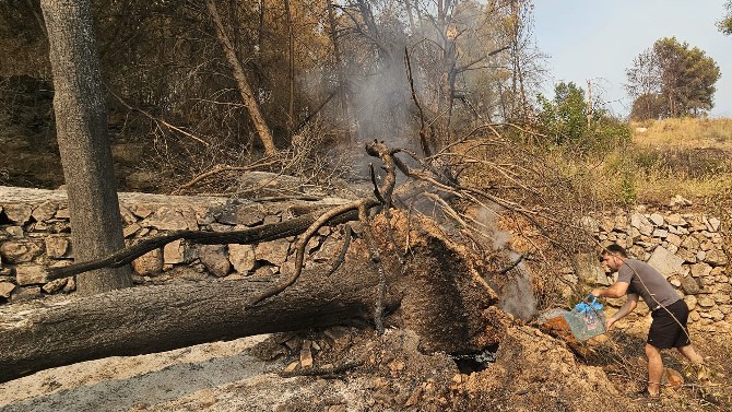 Radiografía del incendio a jueves 30 de julio