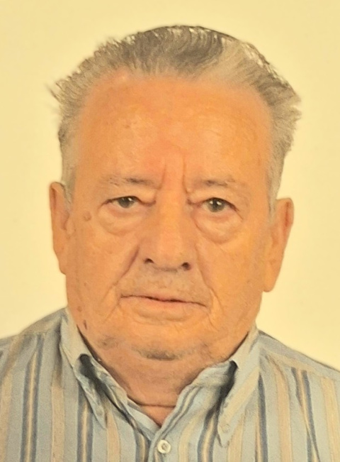 Elías Ballester Insa