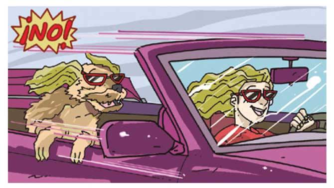 Imagen compartida por la DGT
