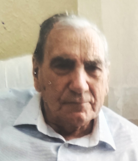 Vicente Llopis Villalonga