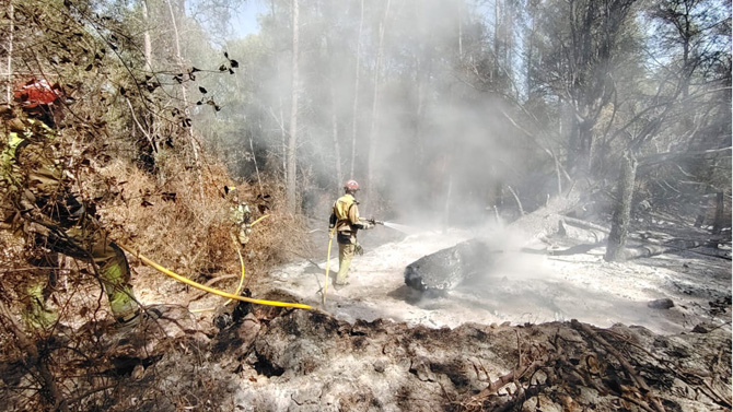 Dan por extinguido el incendio después de 40 días desde su inicio