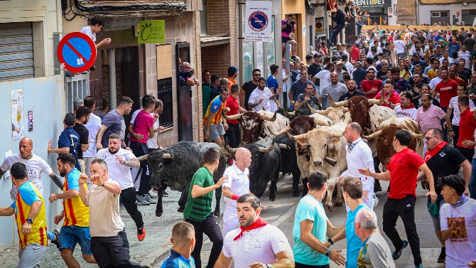 Los toros de Adolfo Martín ponen la guinda a los encierros de Fira 2025