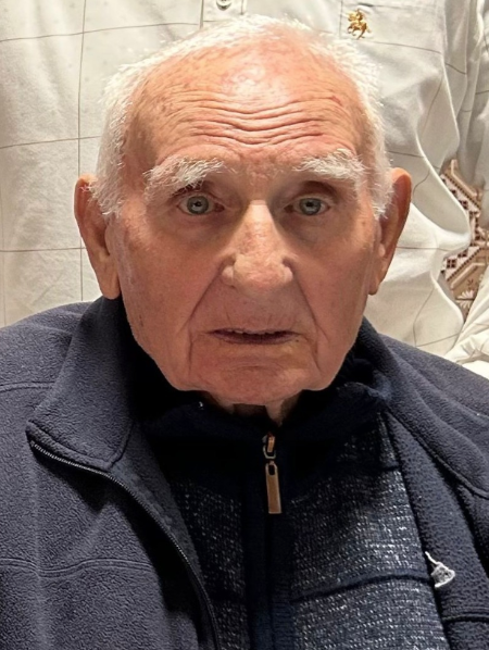 Vicente Feliu Gallen