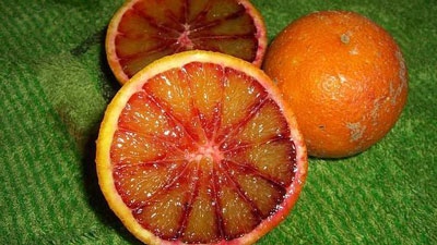 [Img #20114]