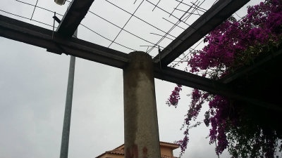 [Img #28721]